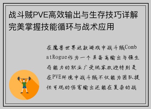 战斗贼PVE高效输出与生存技巧详解 完美掌握技能循环与战术应用